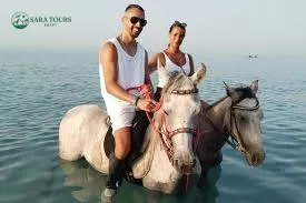 Horseback riding with swimming in the sea